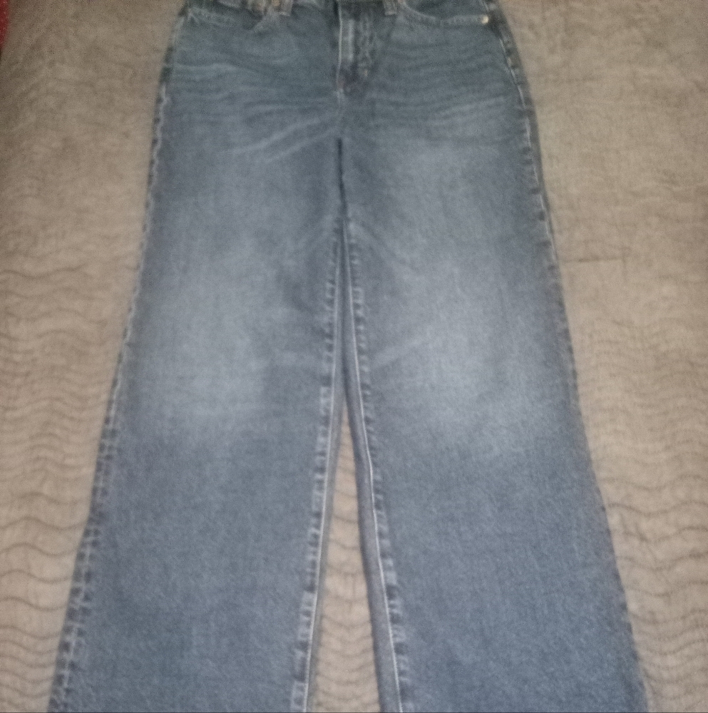 J. Crew Blue Flare Wide Leg Denim